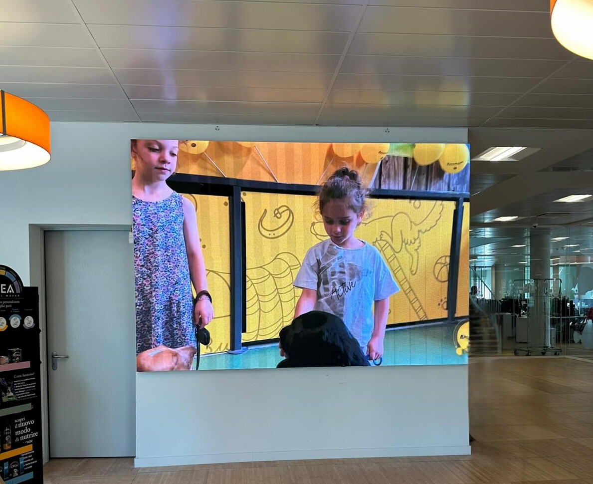 led wall reception