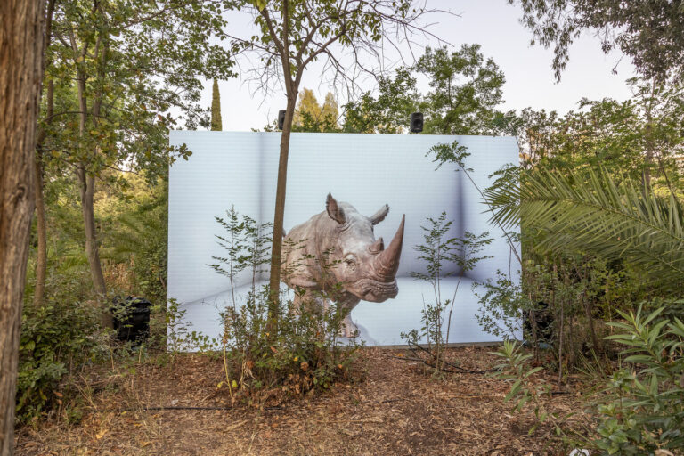 onassis ledwall digital art in the forest